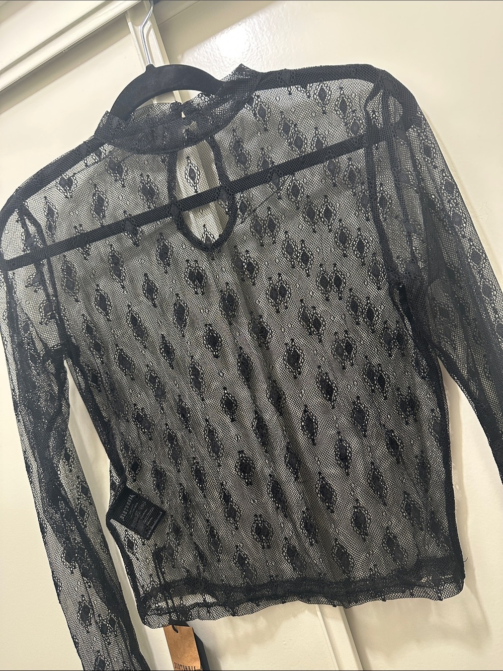 Disturbia Sheer Black Lace Long Sleeve Top